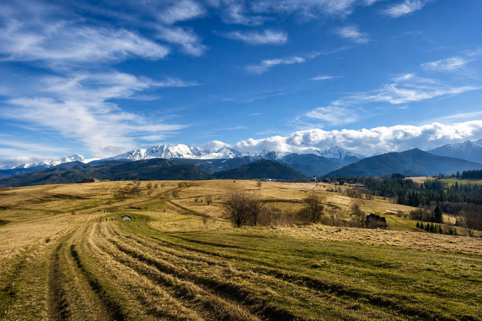 Bachledzki Wierch – widok na Tatry w Zakopanem